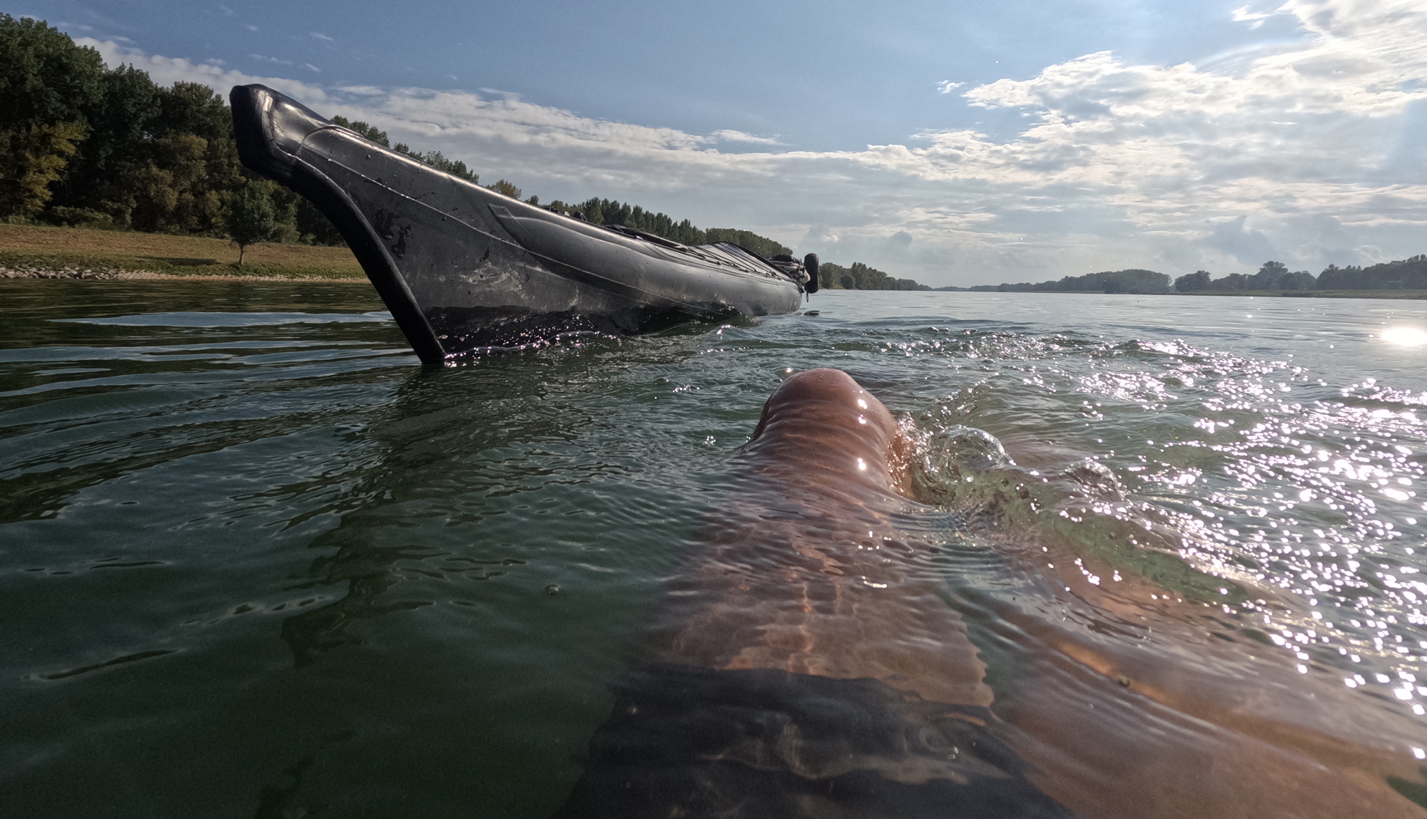 Rhein mit dem Faltboot: Chur bis Emmerich